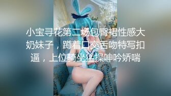 小宝寻花第二场包臀裙性感大奶妹子，蹲着口交舌吻特写扣逼，上位骑坐猛操呻吟娇喘