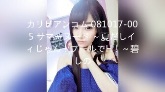 カリビアンコム 081017-005 サマーヌード ～夏だしイィじゃん！プールでH！～碧しの