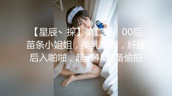 【星辰丶探】第二场，00后苗条小姐姐，美乳翘臀，纤腰后入啪啪，超清4K设备偷拍