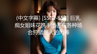 (中文字幕) [SSNI-853] 巨乳痴女姐妹花携手出击在各种场合狩猎男人的肉棒