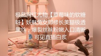 极品网红尤物【草莓味的软糖呀】妖魅兔女郎修长美腿极透黑丝，爆裂丝袜粉嫩入口清晰可见直插白浆