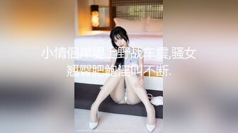 小情侣岸堤上野战车震,骚女翘臀肥鲍淫叫不断.