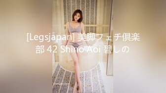 [Legsjapan] 美脚フェチ倶楽部 42 Shino Aoi 碧しの