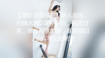 【精彩呈现探花】新人首场，约操大胸D罩杯少妇，画质过关，体力有待加强，暴插骚妇，浪叫不止挺刺激